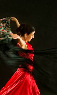 flamenco_tanzschule_la_ursula_bern[1]